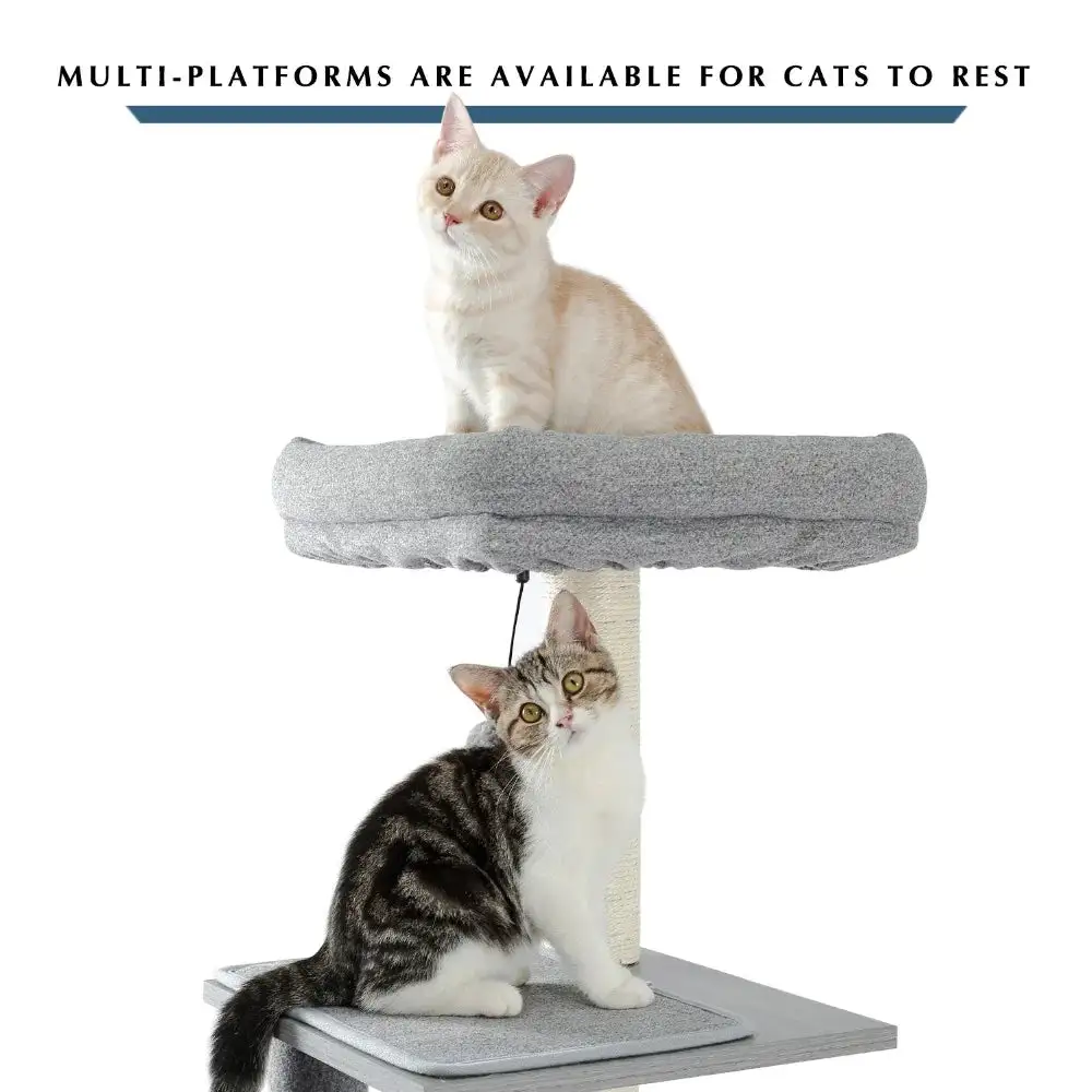 Six-Tier Cat Tree