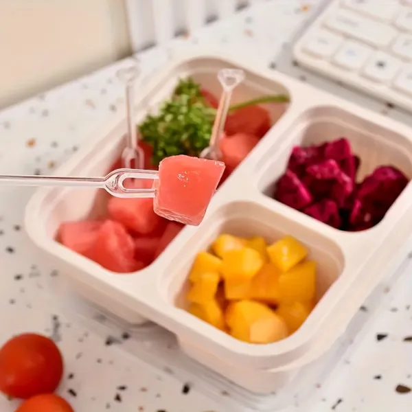 Food Partition Container