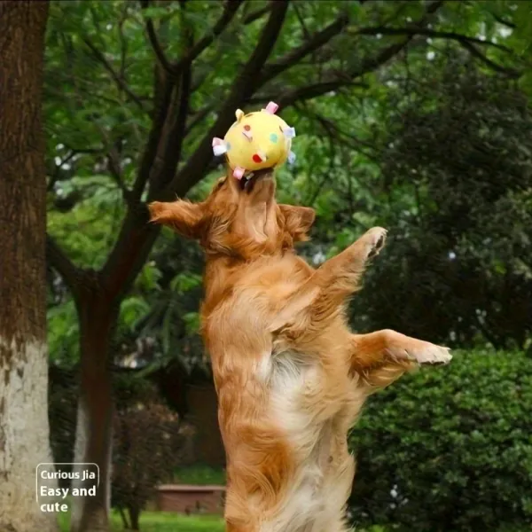 Interactive Dog Play Ball