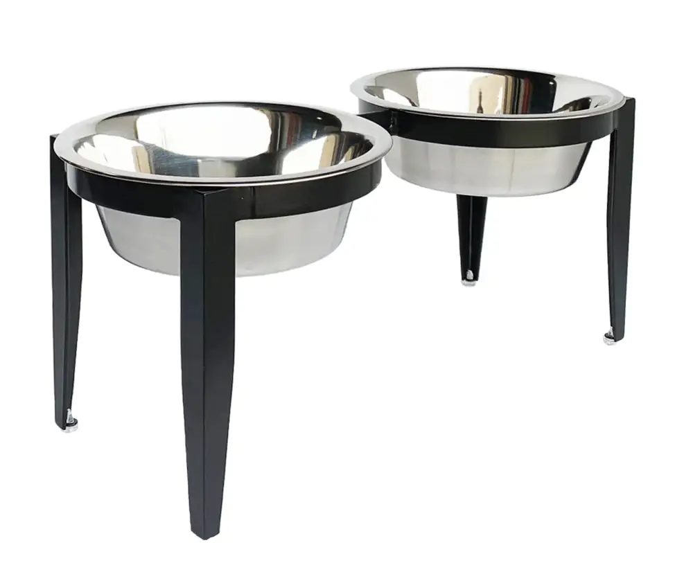 Modern Double Dog Bowl Feeder