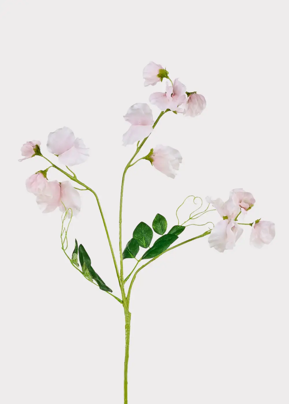 Artificial Sweet Pea Wildflowers Floral Stem
