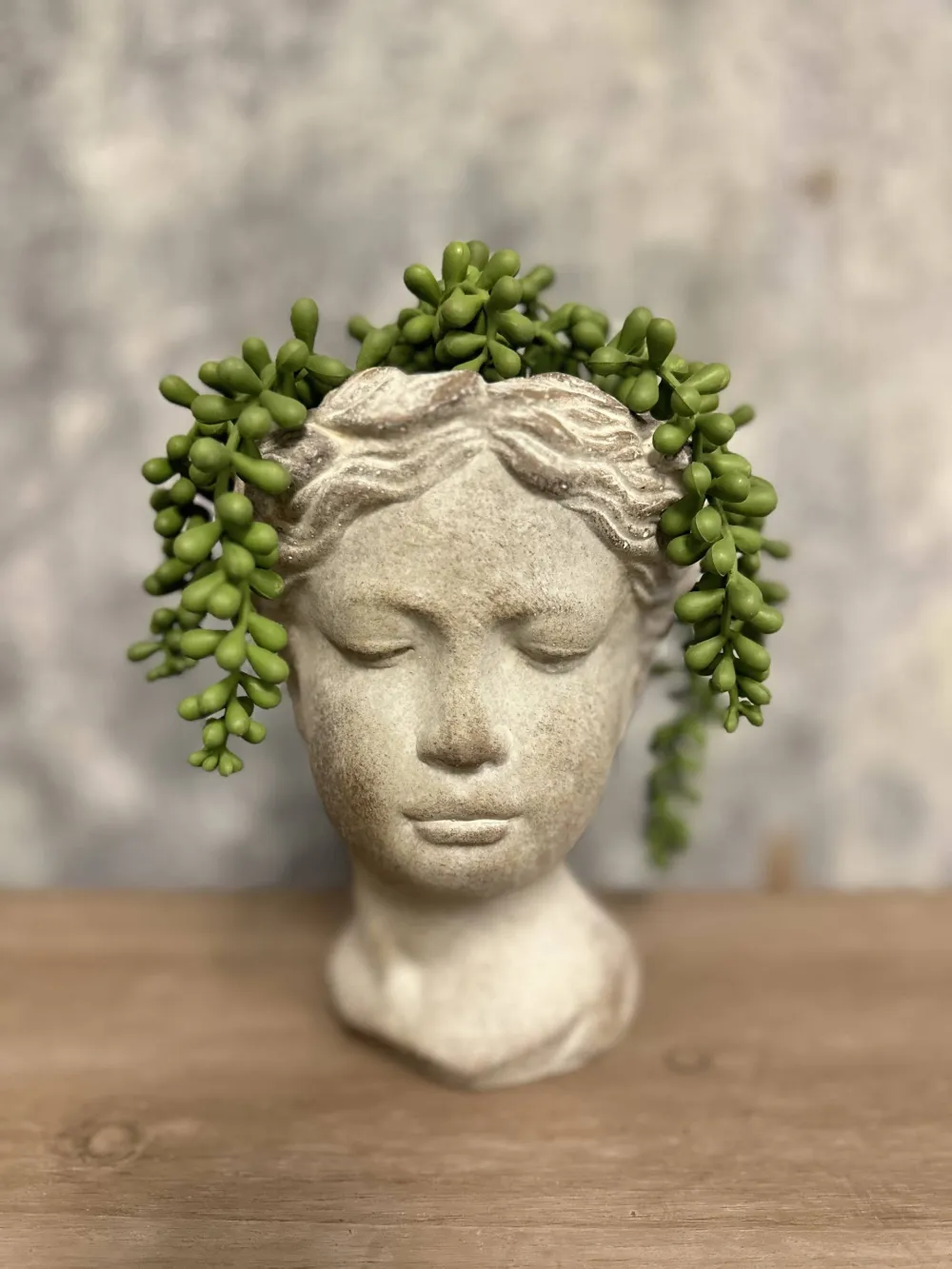 Cozy Room Decorative Accent Portrait Vase