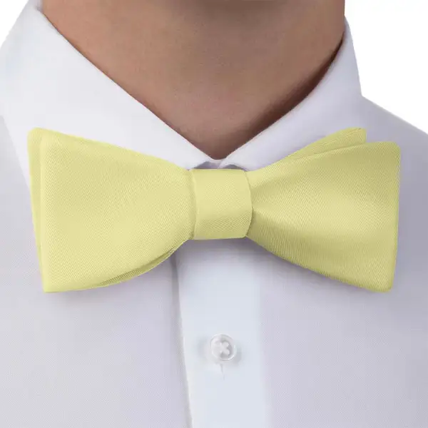 Stylish Solid Motif Bow Tie