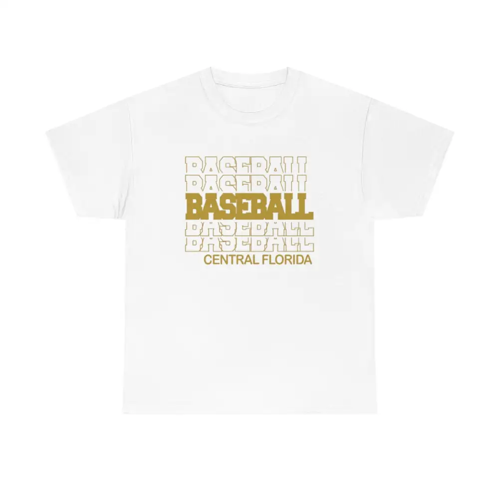 Baseball Central Florida in Modern Stacked Lettering