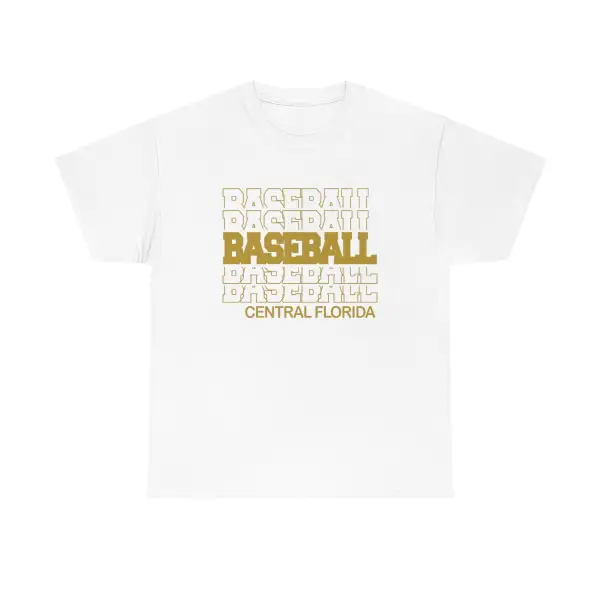 Baseball Central Florida in Modern Stacked Lettering