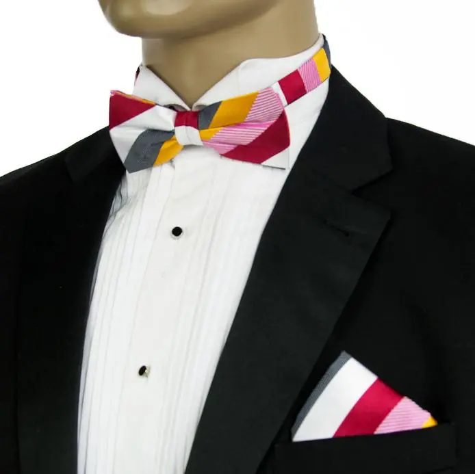 Neat Striped Silk Bow Tie Set