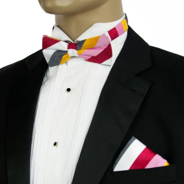 Neat Striped Silk Bow Tie Set