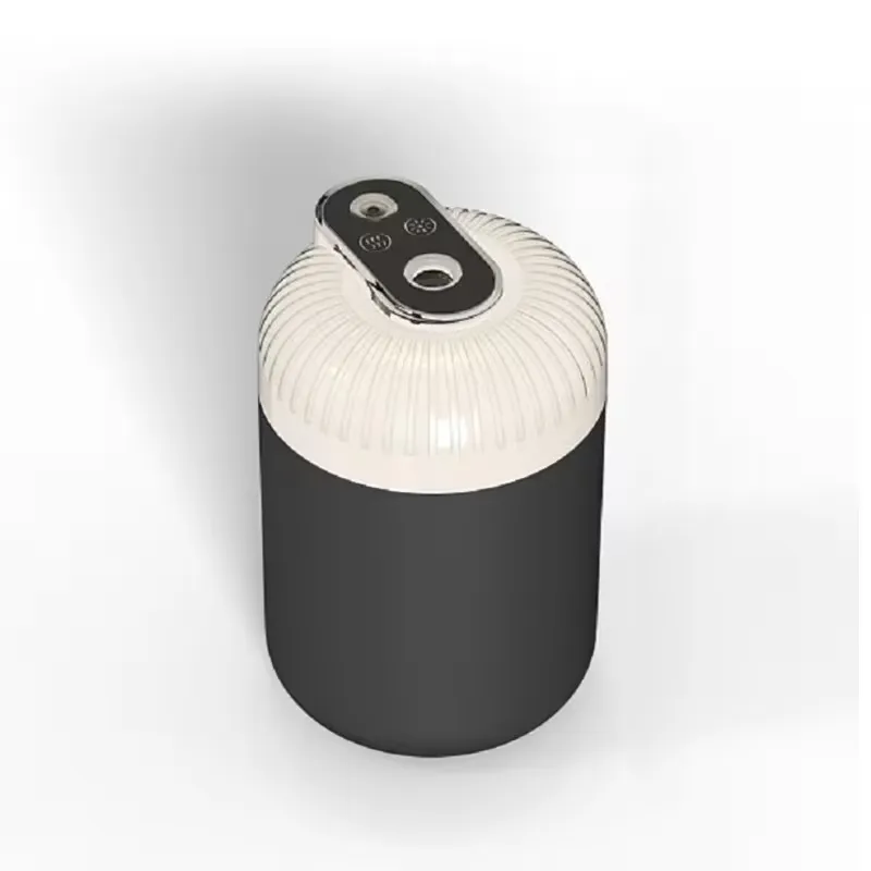Dual-Purpose Car Humidifier