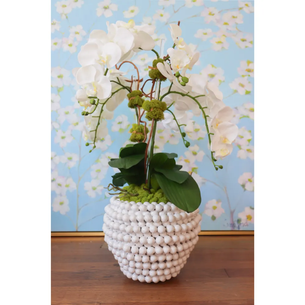 Textured Pot Orchid Arrangement
