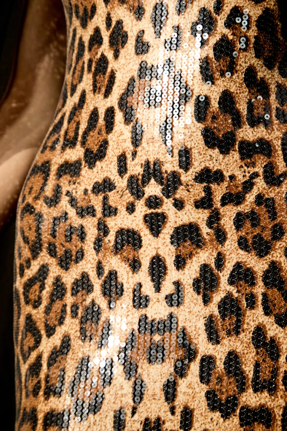 Wild Charm Multi Leopard Print Sequin Maxi Dress & Cape Set