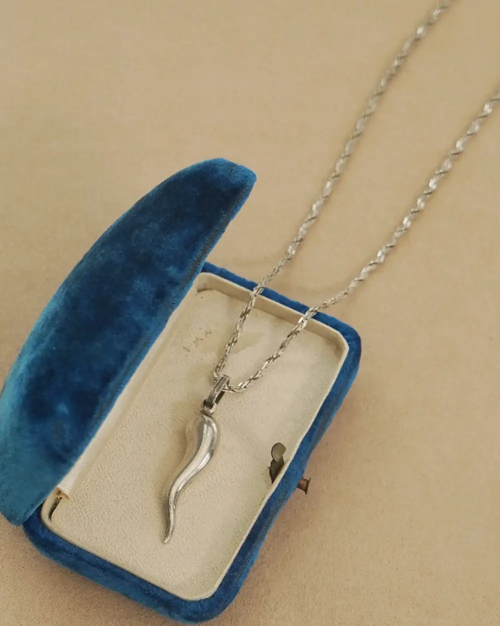 Chain Necklace with Horn Charm