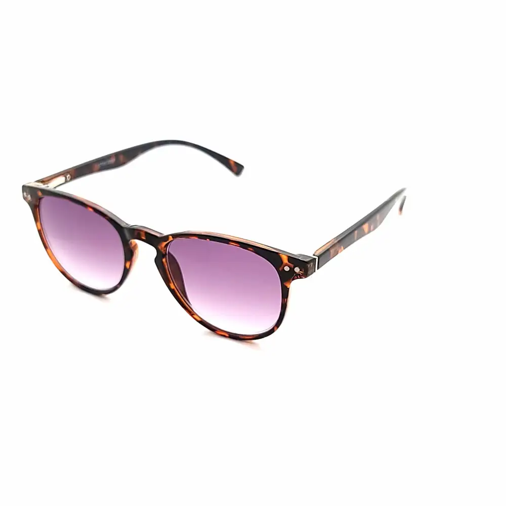 Keyhole Progressive Reading Sunglasses
