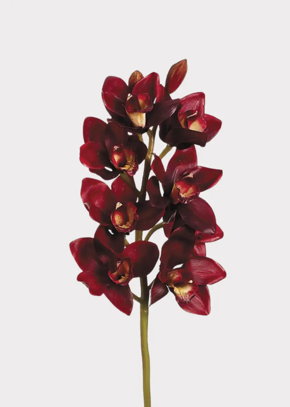 Artificial Decorative Cymbidium Orchid Floral Stem
