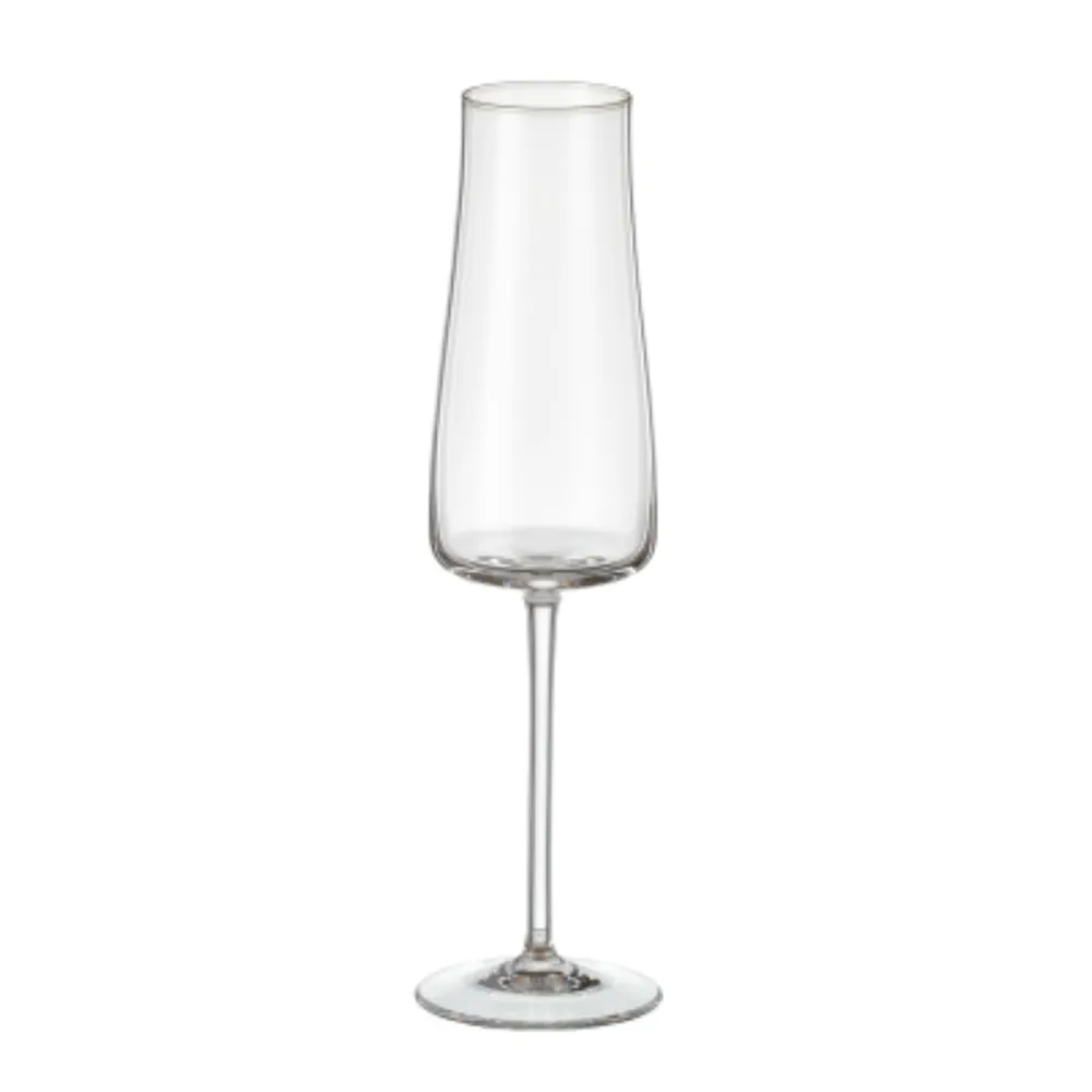 Versatile Glass Everyday Drinkware