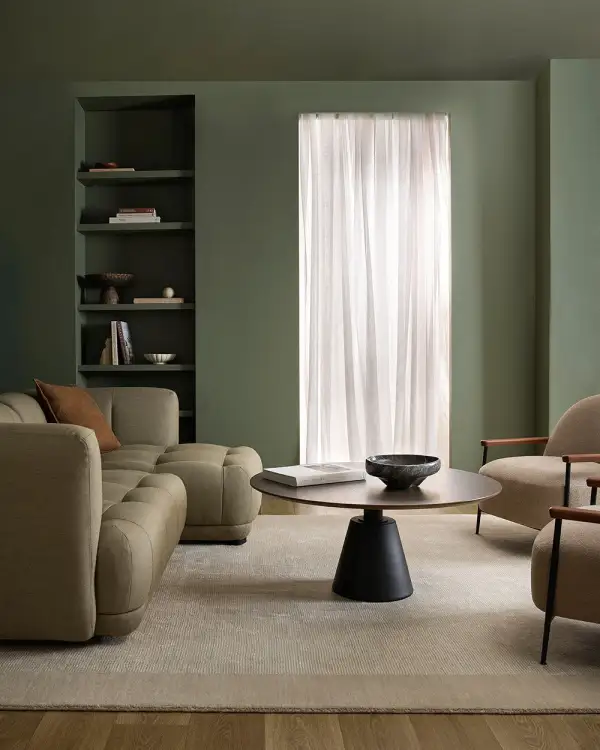 Wool Bordered Contemporary Airy Area Rug