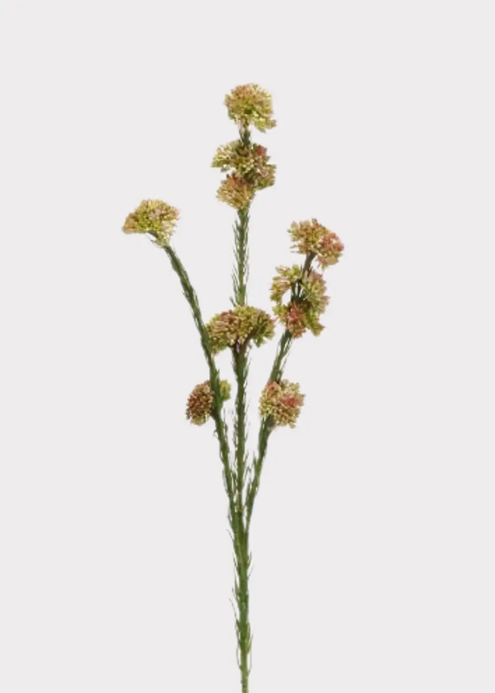 Artificial Succulents Sedum Cluster Stem
