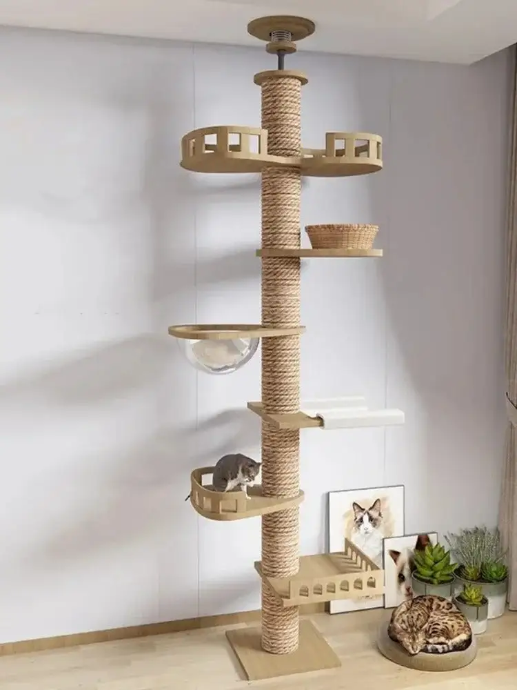 Cozy Feline Resting Structure