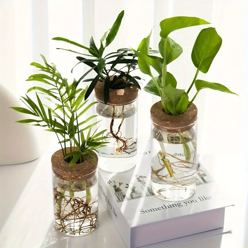 Glass Hydroponic Planter