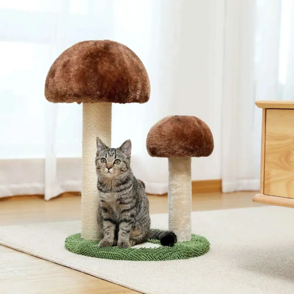 Cactus Cat Scratching Post