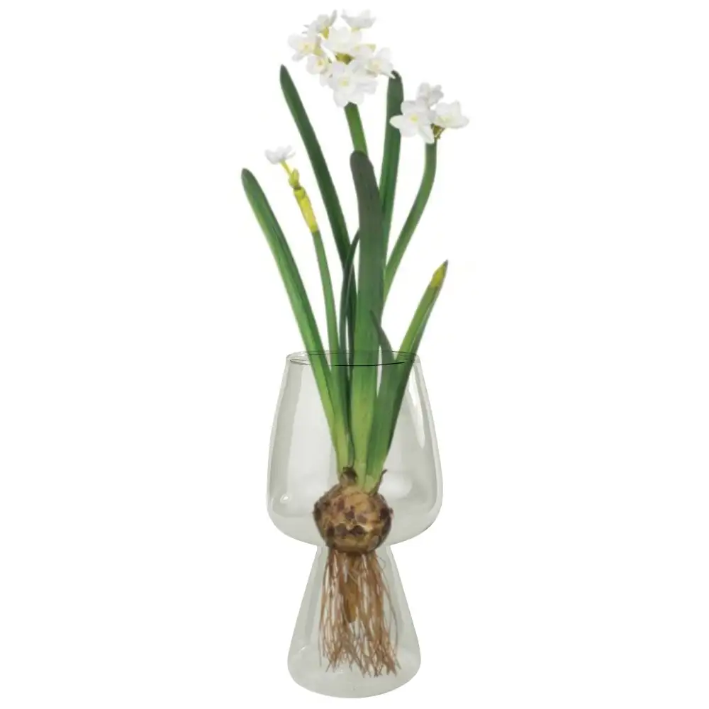 Modern Home Accent Piece Glass Vase