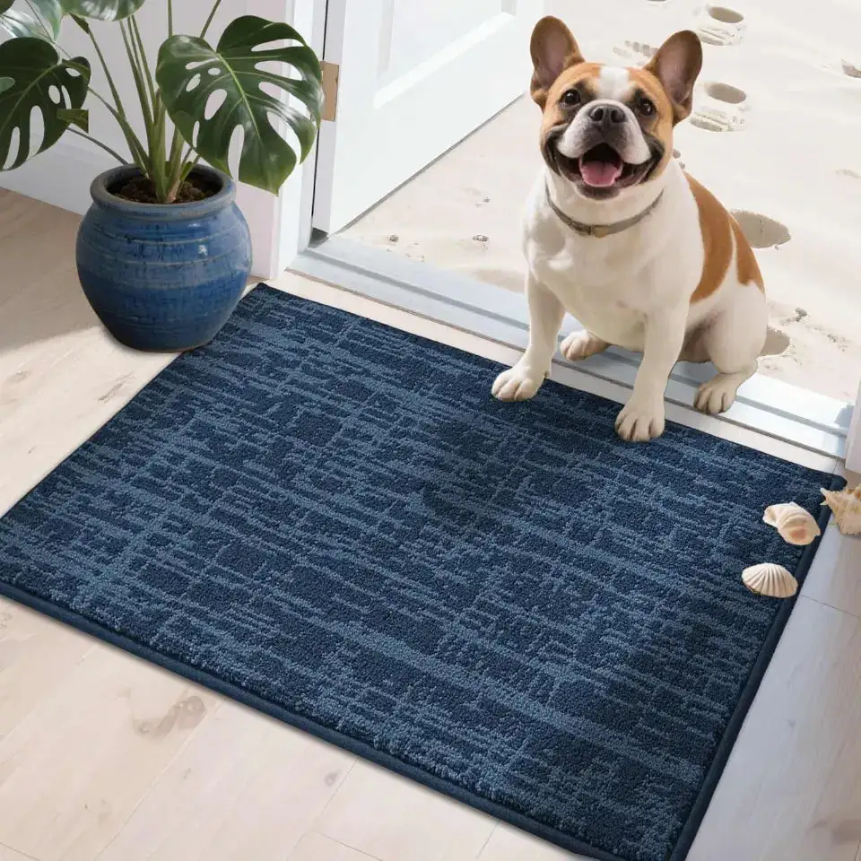 Soft Abstract Indoor Door Rug
