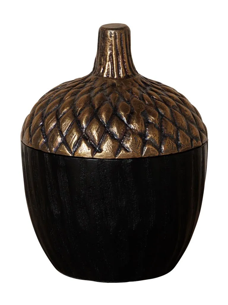 Black Mango Wood Storage Box