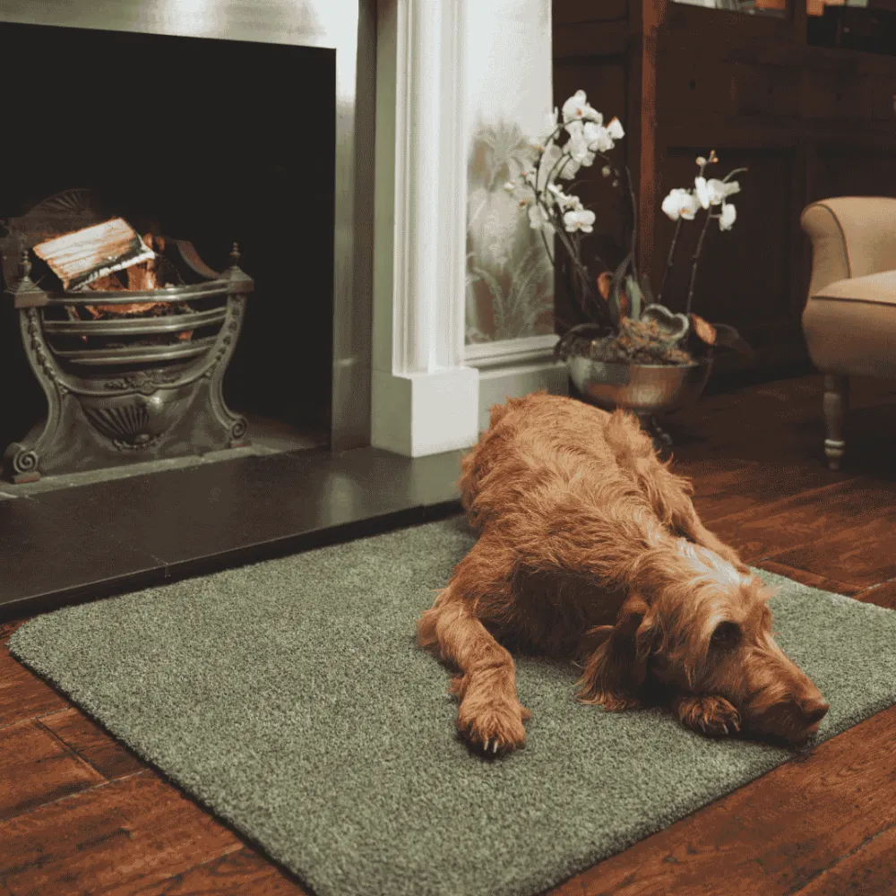 Plain Fleck Door Mat