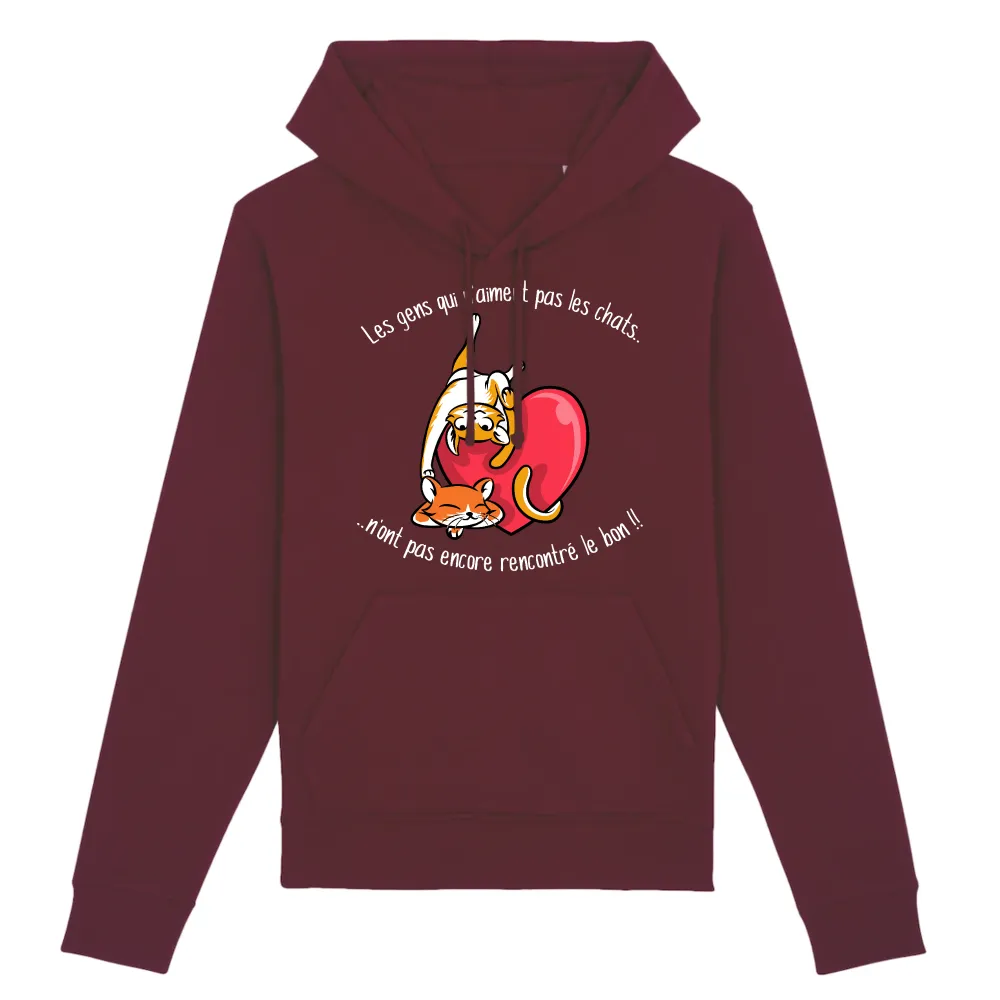 Selective Cat Graphic Pullover Hoodie