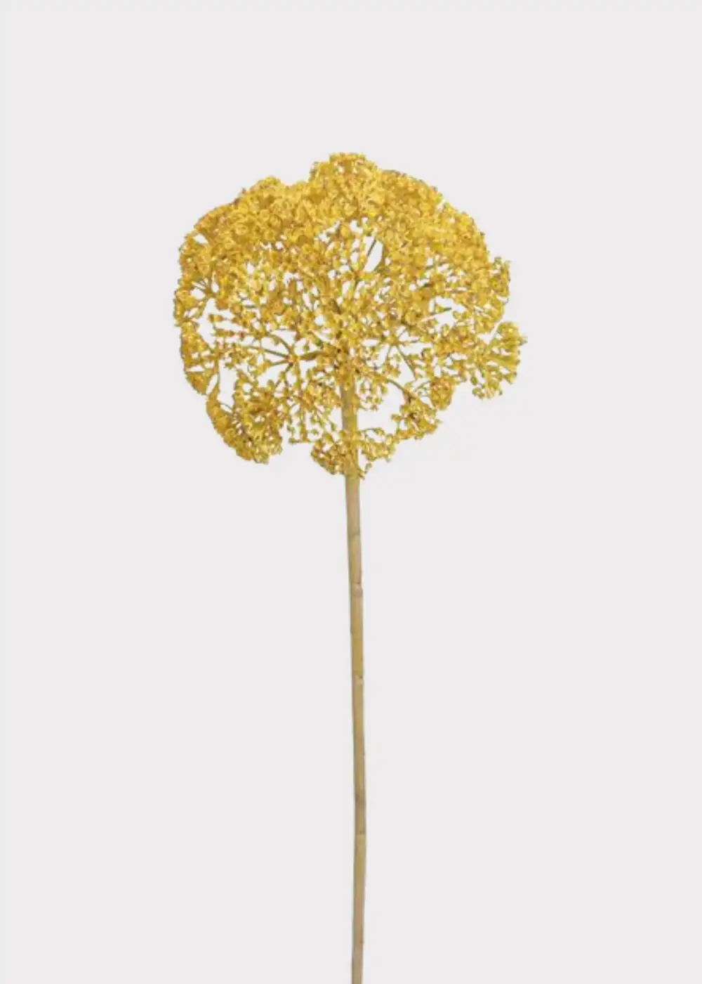 Artificial Yarrow Bloom Cluster Stem