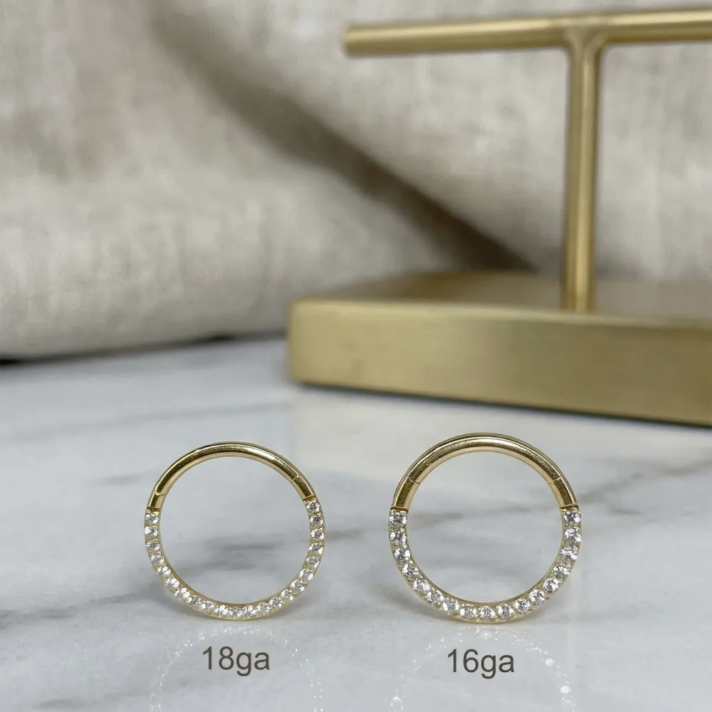 Elegant Titanium Hinged Hoop Ring