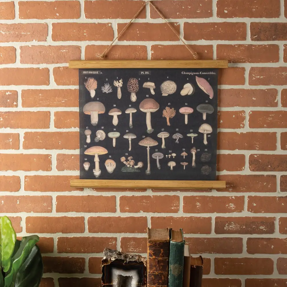 Mushroom Type Wall Hangings