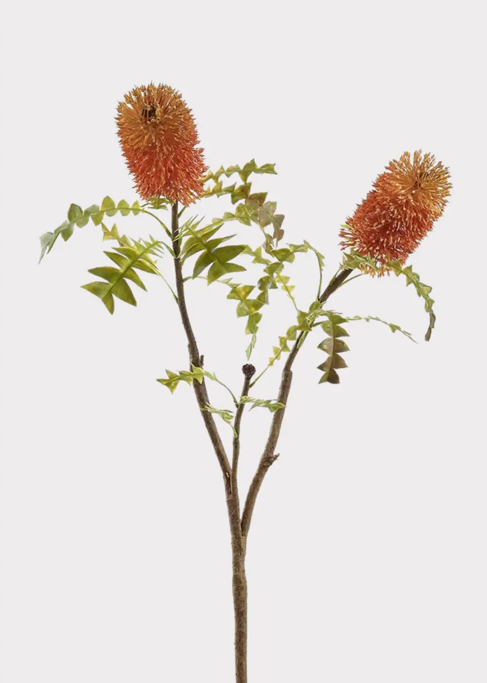 Artificial Bottle Brush Protea Tropical Branch