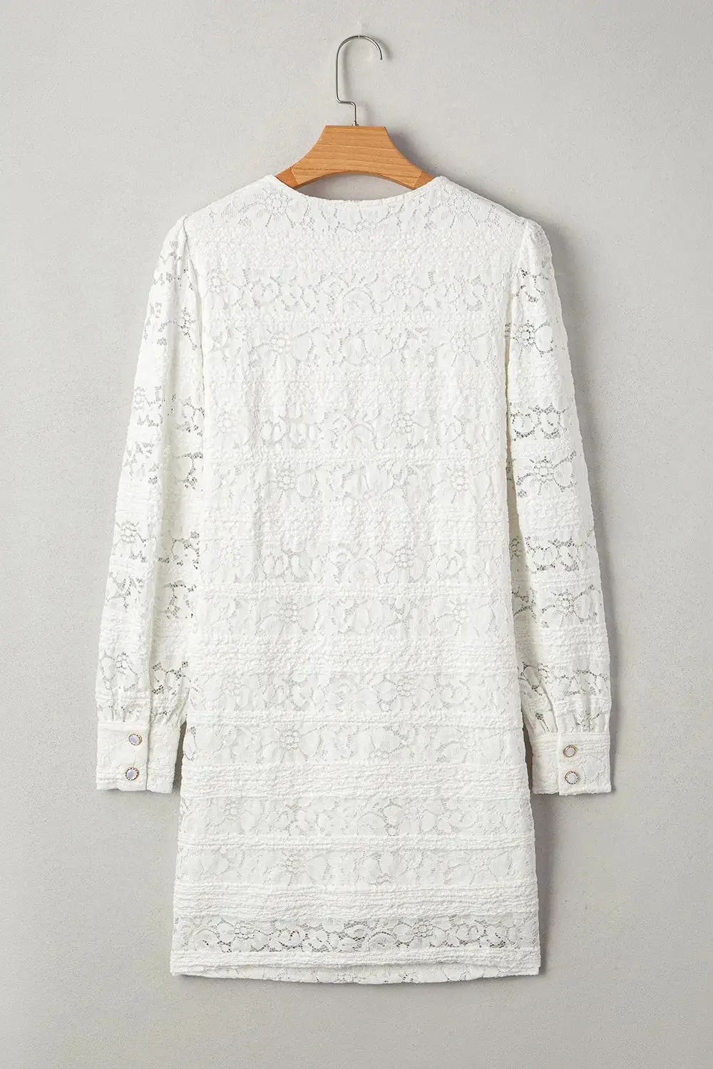 Balanced Detail Lace Long Sleeve Mini Dress