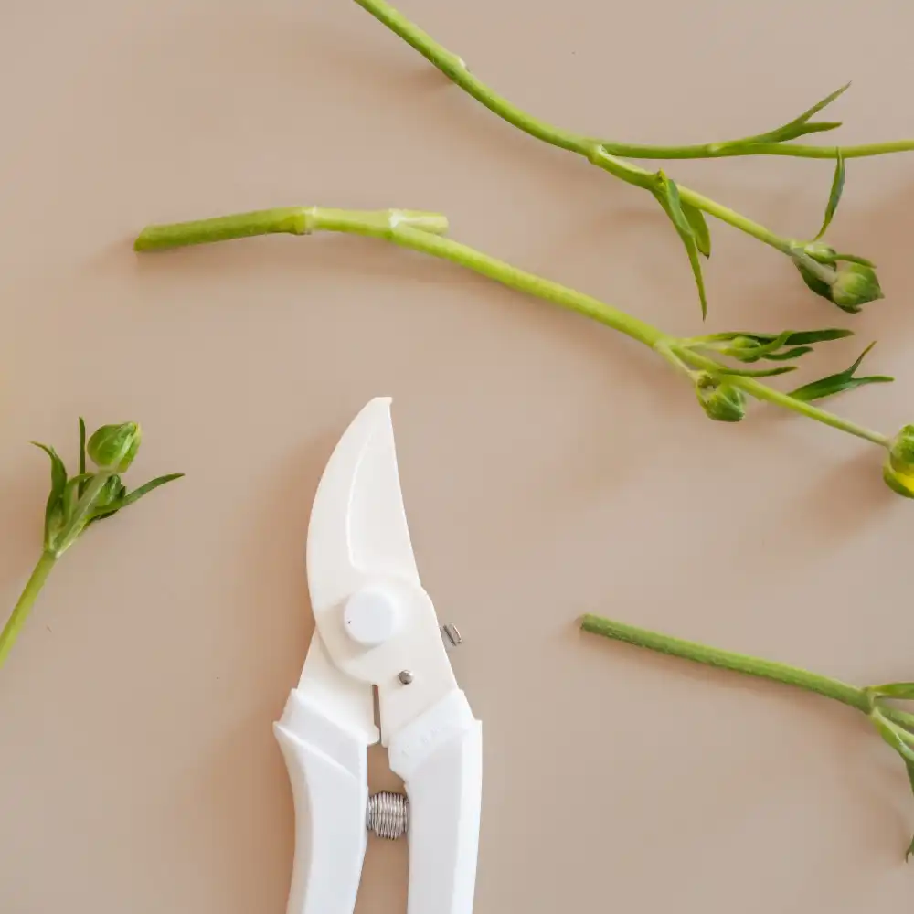 Precision Garden Pruning Shears