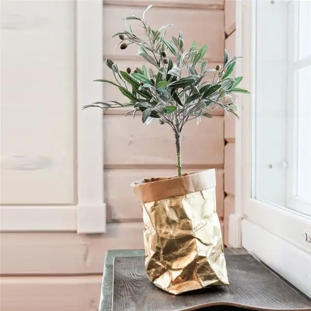Washable Kraft Storage Bag