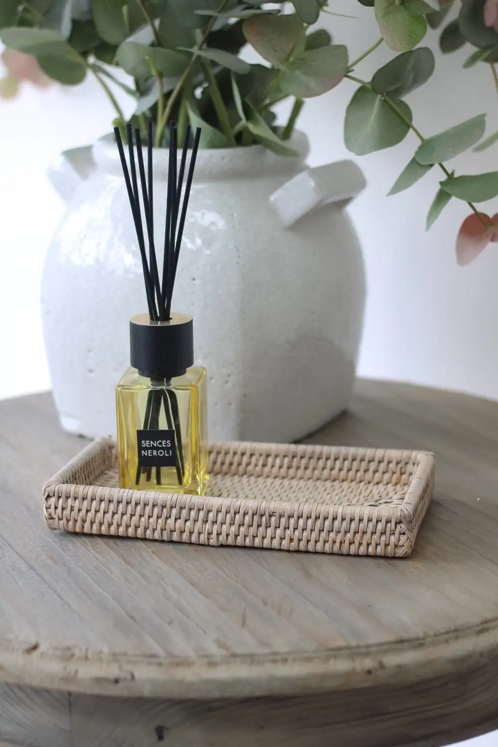 Refined Rattan Small Rectangular Tray