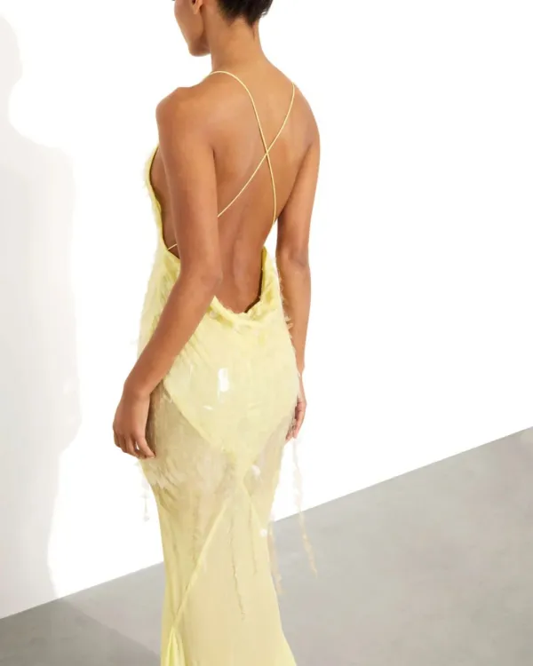 Sequin Sheer Mermaid Evening Gown