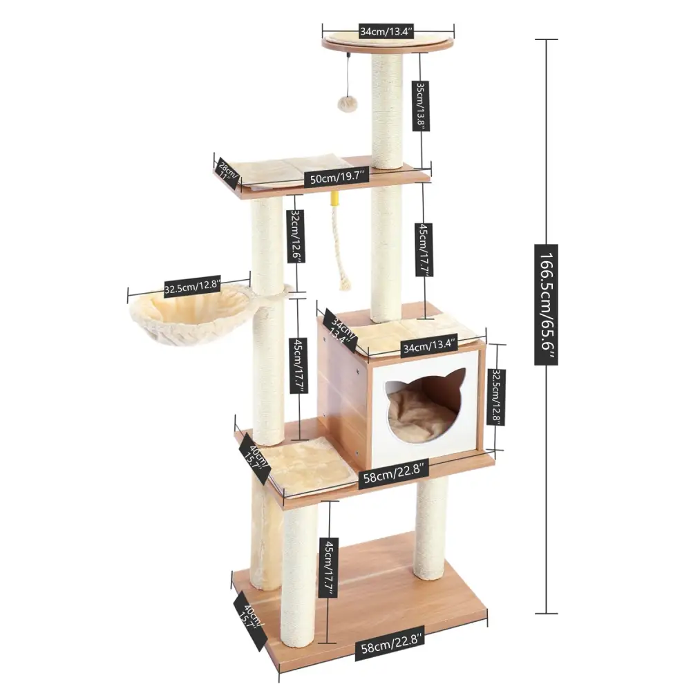 Comfortable Cat Climbing Tree