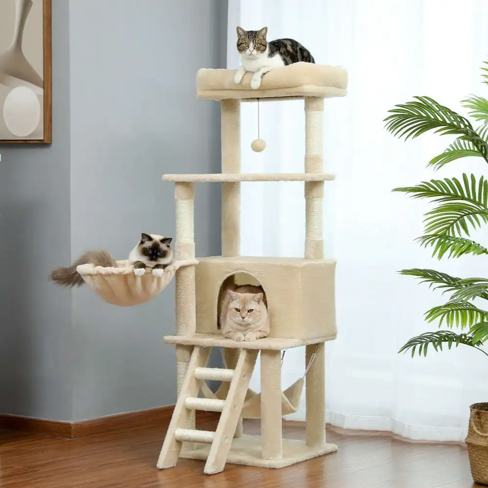 Plush Scratch Home Furniture