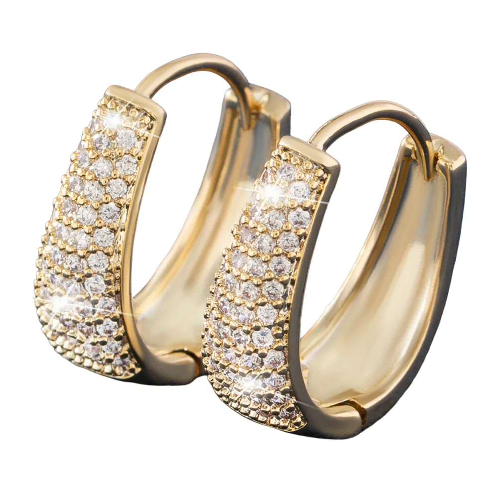 Women's Hinged Hoop Earrings Cubic Zirconia