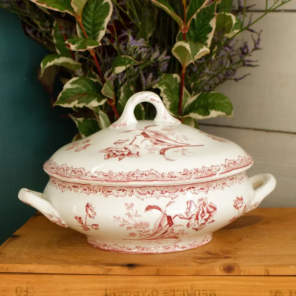 Curated Elegant Soup Tureen