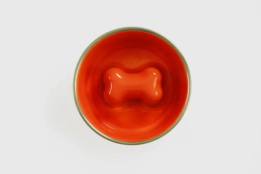 Bone Pattern Slow Feeding Bowl