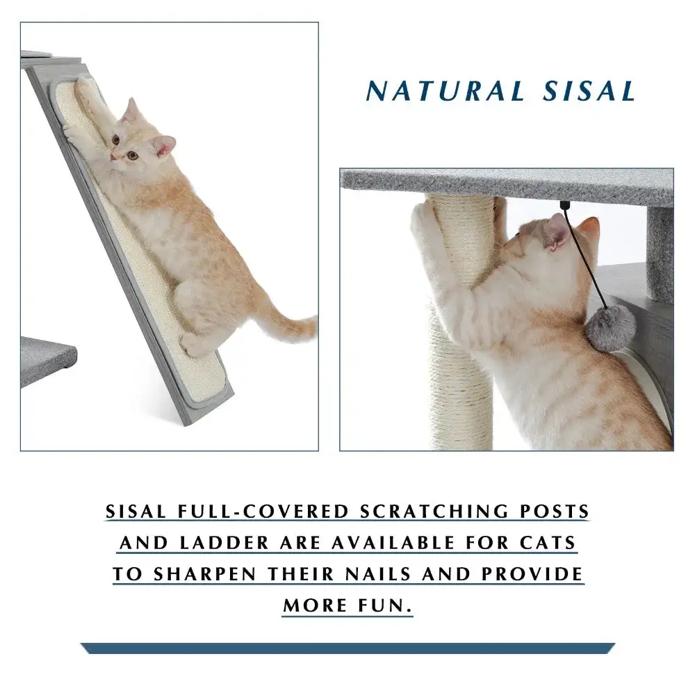 Six-Tier Cat Tree