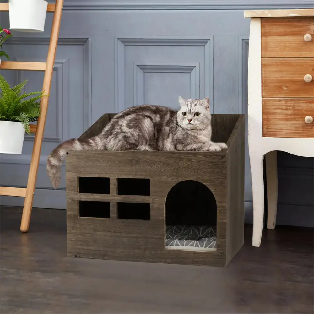 Clean Cat Litter Solution