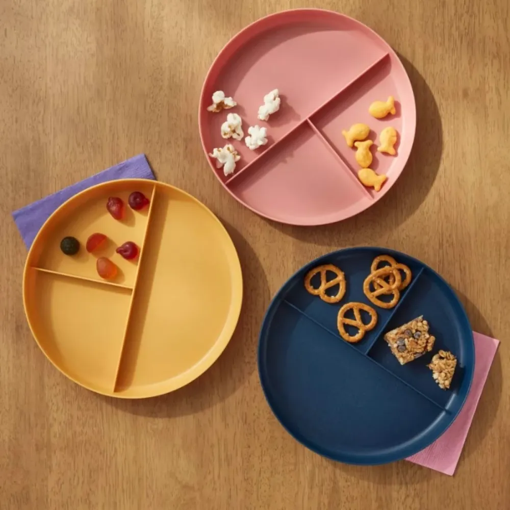 Colorful Divided Plate