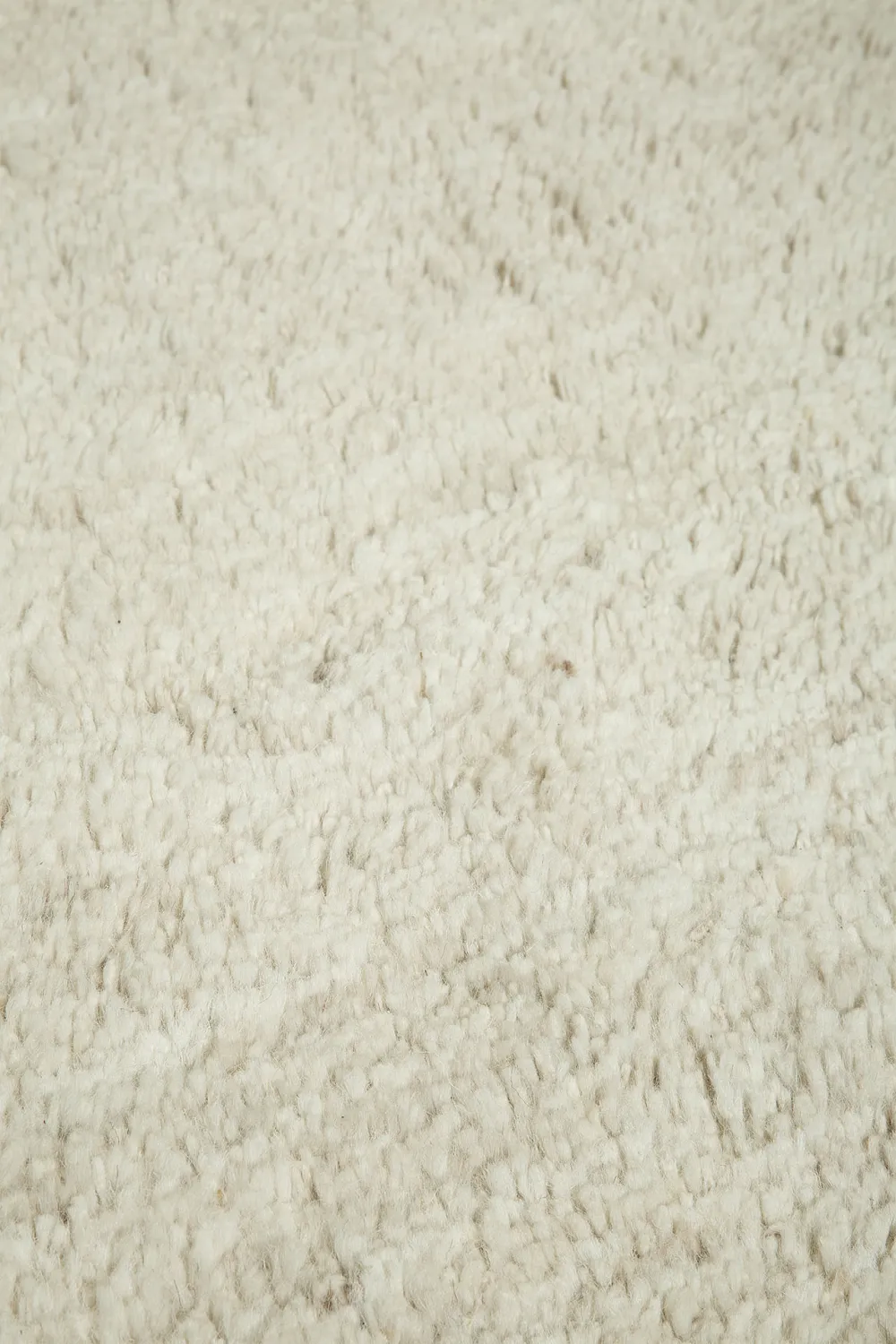 Wool Area Rug