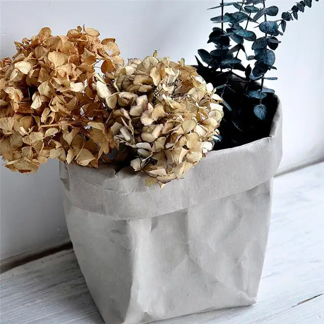 Washable Kraft Storage Bag