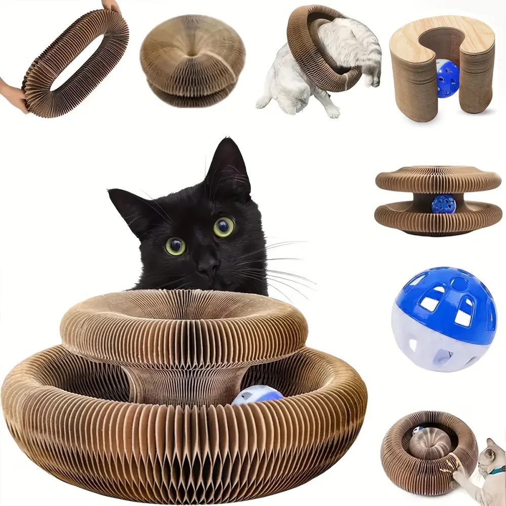 Cat Play & Scratch Toy Set