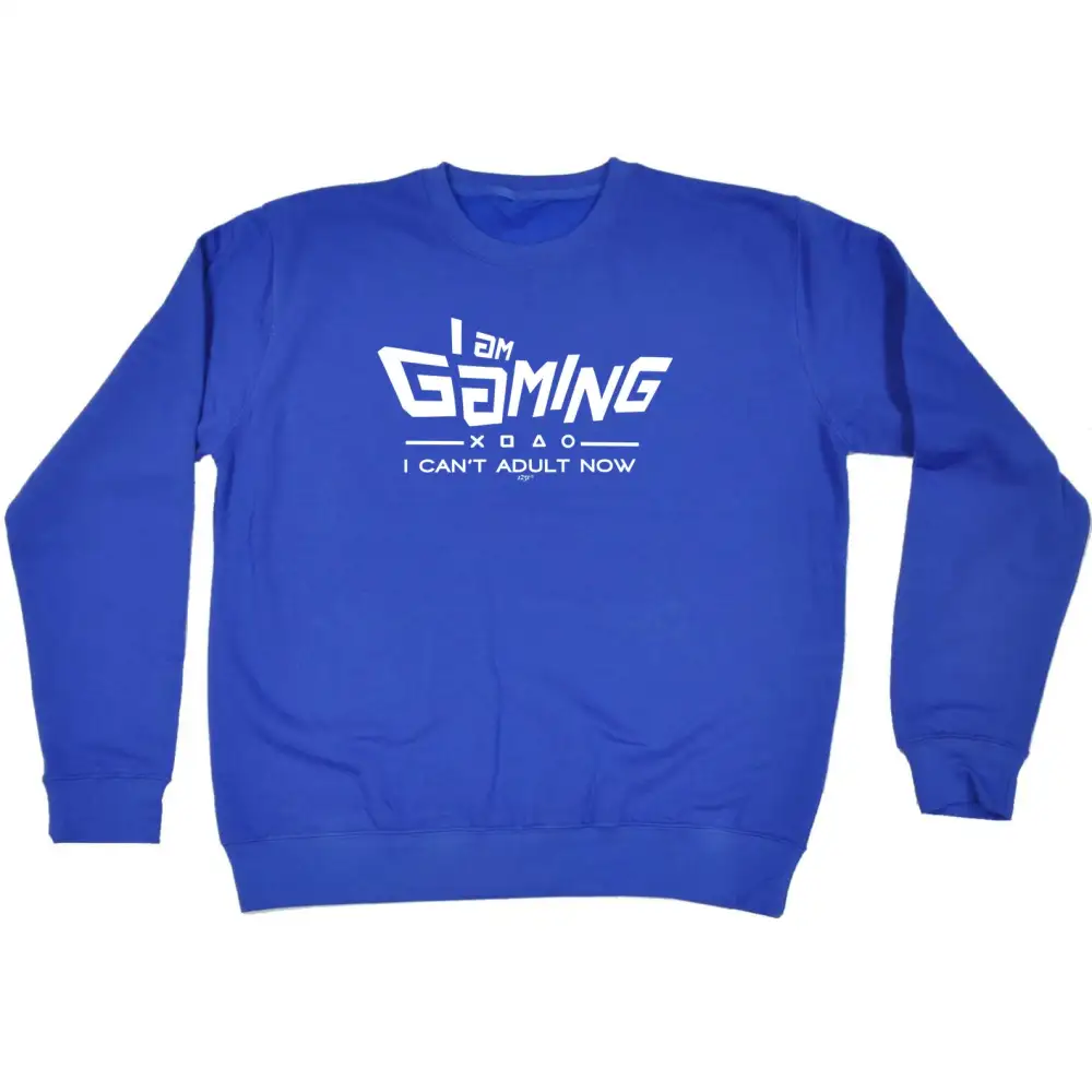 Gaming Mood Graphic Sweatshirt