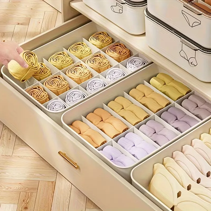Closet Underwear Organizer Set
